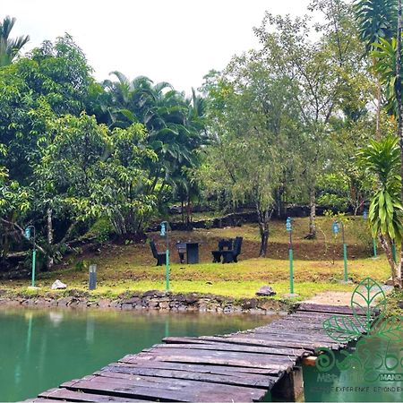 Misty Hills Mandarama Hotel Pitigala Exterior photo